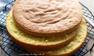 Due dischi di soffice sponge cake dorato, uno sopra l'altro, su una griglia. Perfetti per una torta deliziosa.
