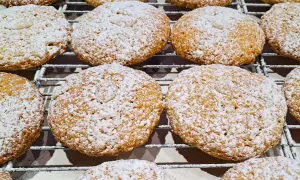 Biscotti con farina di mandorle, cosparsi di zucchero a velo, riposano su una griglia.