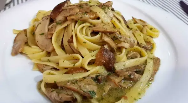 Un piatto invitante di tagliatelle ai porcini, condite con funghi freschi e prezzemolo tritato, su un piatto bianco.