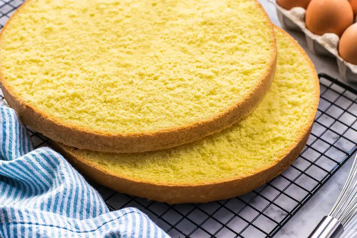 Due dischi di soffice sponge cake gialla, pronti per essere farciti.