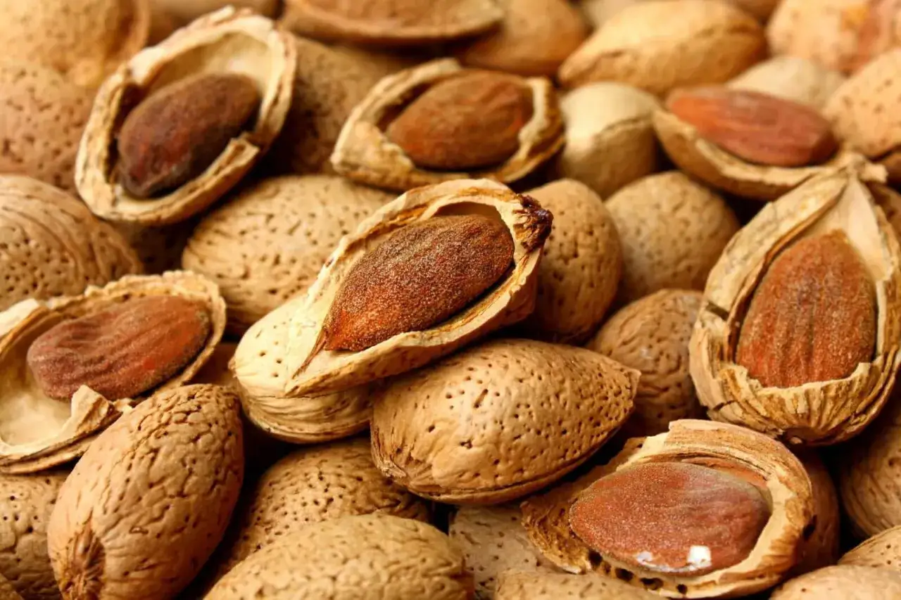 Mandorle pralinate: mandorle intere con guscio e mandorle sgusciate, pronte per essere gustate.